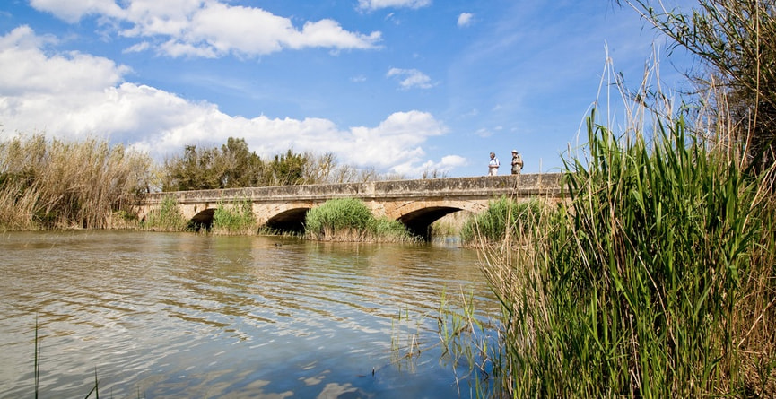 Albufera de Mallorca - Rutas para ciclsitas