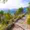 Path in the Serra de Tramuntana, Majorca